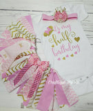 Fabric tutu Set - Half Birthday Outfit - Pink and Gold Birthday Tutu Set - Birthday Outfit - Fabric Tutu Set